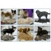 Фурминатор Елит для  кошек и собак с кнопкой, размер: 6,5см